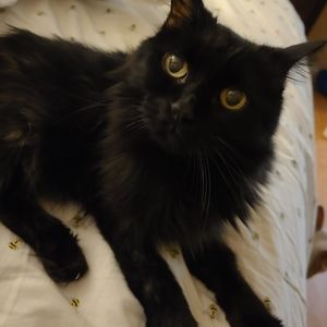 Meet your Posher, Casie